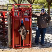 Tarter Tarter CattleMaster Series 3 Automatic Headgate for Cattle Up to 1,200 lb., 19-1/2 in. x 41 in. x 72 in., Red, 223 lb.