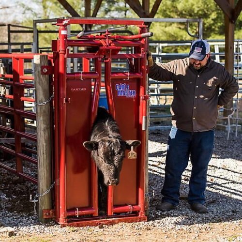 Tarter Tarter CattleMaster Series 3 Automatic Headgate for Cattle Up to 1,200 lb., 19-1/2 in. x 41 in. x 72 in., Red, 223 lb.