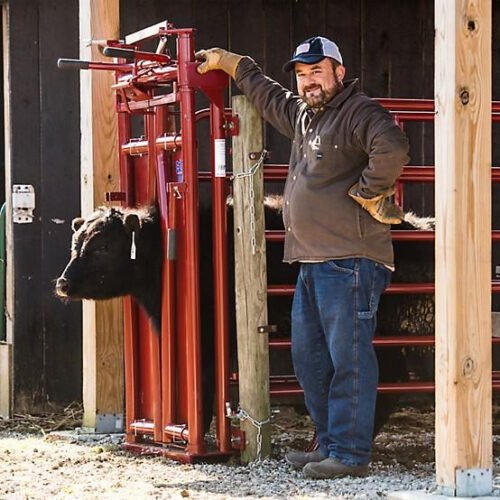 Tarter Tarter CattleMaster Series 3 Automatic Headgate for Cattle Up to 1,200 lb., 19-1/2 in. x 41 in. x 72 in., Red, 223 lb.